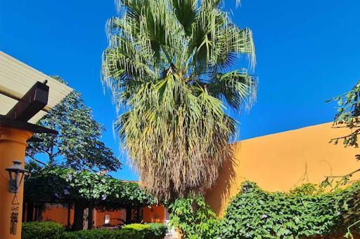 Hostal Paradiso Asunción Exterior photo